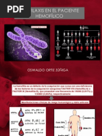 Expo Hemofilia Listo