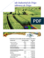 Qualidade Industrial Do Trigo - Cultivares de Trigo