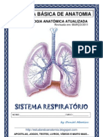Sistema Respiratorio Completa