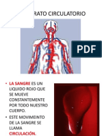 El Aparato Circulatorio
