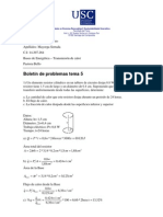 Dinamica Ejercicios Resueltos Calor Pastora