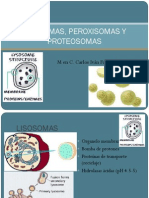 Lisosomas, Peroxisomas y Proteosomas