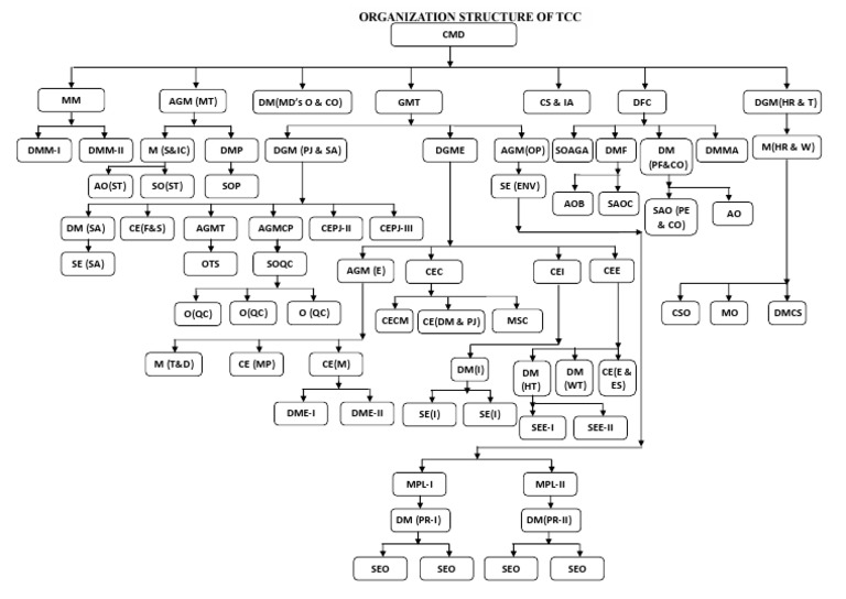 Corporate Hierarchy Overview | PDF