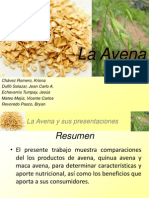 Avena, Quinua Avena y Maca Avena