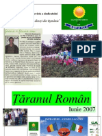  revista TARANUL ROMAN iunie 2007
