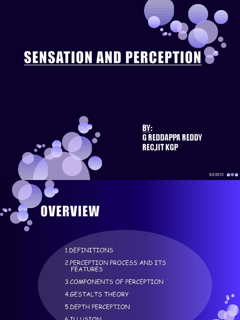 Perception | PDF