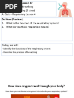 Air Pathway in the Respiratory System | PDF