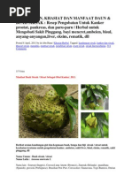 Download Kandungan daun sirsak by Ciitra Dewii SN104714243 doc pdf