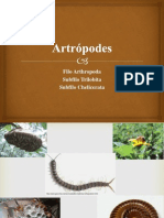 ARTRÓPODES_Quelicerados e Trilobitas