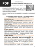 Download 101FISIOTERAPIA NA VTIMA DE TRAUMATISMO CRNIO ENCEFLICO by Fisioterapia Pilates SN104717236 doc pdf