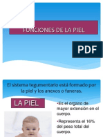 Funciones de La Piel