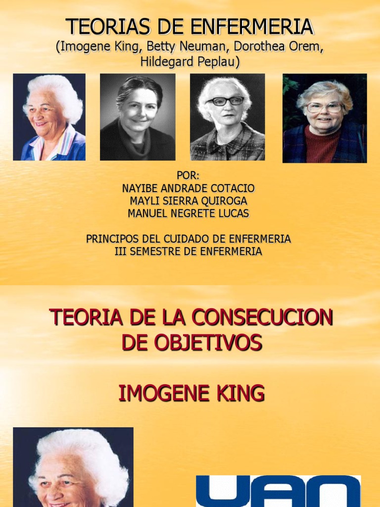 Teorias de Enfermeria Enfermería Comportamiento
