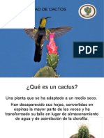 Especialidad de Cactos