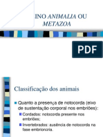 207 371reino Animalia - Introducao