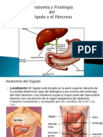 Presentacion Del Higado y El Pancreas