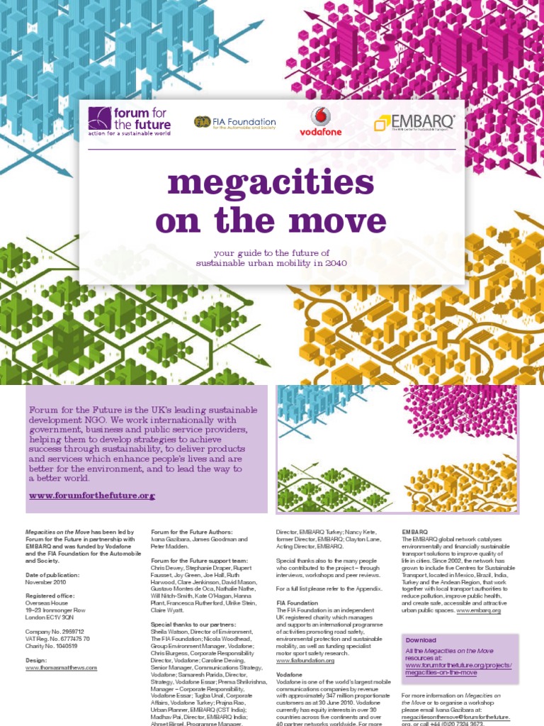 Mega Cities Full Report | PDF | Business | Social Science