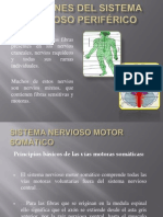 Sistema Nervioso (3era Parte)