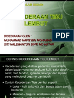 Kecederaan Tisu Lembut