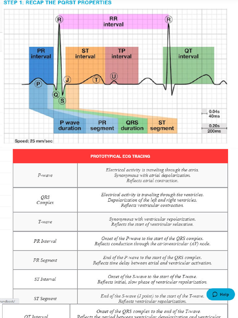 ACLS Rhythms and Interpretation | PDF