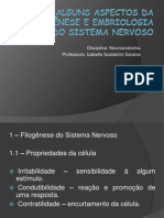 Alguns aspectos da filogênese e embriologia do Sistema