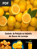 Controle da Poluição na Indústria de sucos de Laranja