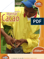 19 Aprendiendo a Injertar Cacao