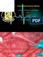 Fisiologia de Corazon