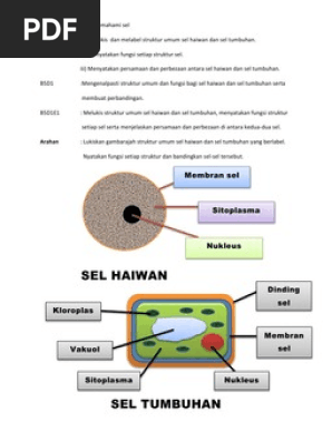 B5 Sel Haiwan Sel Tumbuhan Pdf