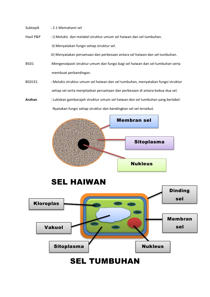 Sel tumbuhan tingkatan 1