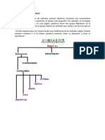 CLASIFICACIÓN DE ANIMALES