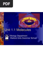 Unit 1.1 Molecules