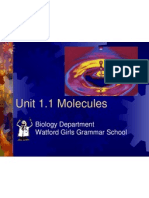 Unit 1.1 Molecules: Biology Department Watford Girls Grammar School