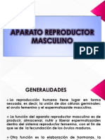 Aparato Reproductor Femenino y Masculino