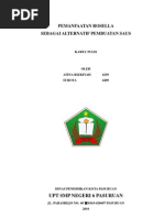 Download Saus Rosella by Eva Ningtiyas SN104845809 doc pdf