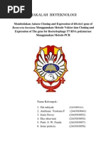 Download MAKALAH  BIOTEKNOLOGI by Eka Oktaviani SN104854153 doc pdf