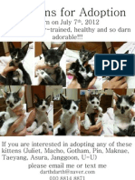 9 Kittens for Adoption