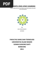 Download DESKRIPSI JENIS KAMBING by Kiky Rossonere Rizky SN104857487 doc pdf