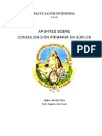 Apuntes Sobre Consolidacion Primaria (2009)