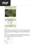 Download Tawon by JajangPermanaSubhan SN104899575 doc pdf