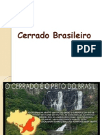 Cerrado Brasileiro
