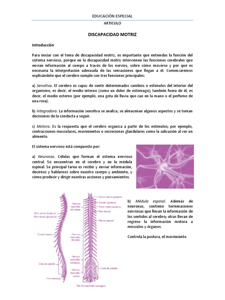 Discapacidad Motriz: Causas y Efectos | PDF | Cerebro | Parálisis cerebral