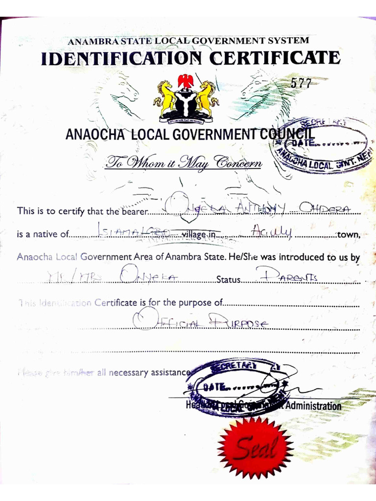 Local Government Identification Certificate | PDF