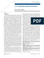 Download Treponema by lilivicki SN104957704 doc pdf
