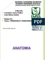 Hidrocele y Varicocele. Final