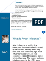 Avian Influenza: You May Have Questions