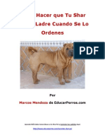 Cómo Hacer Que Tu Shar Pei No Ladre Cuando de Lo Ordenes