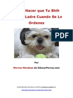 Cómo Hacer Que Tu Shih Tzu No Ladre Cuando de Lo Ordenes