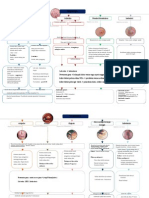 Pioderma New