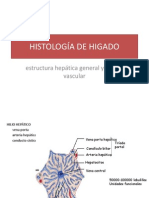 Histología de Higado