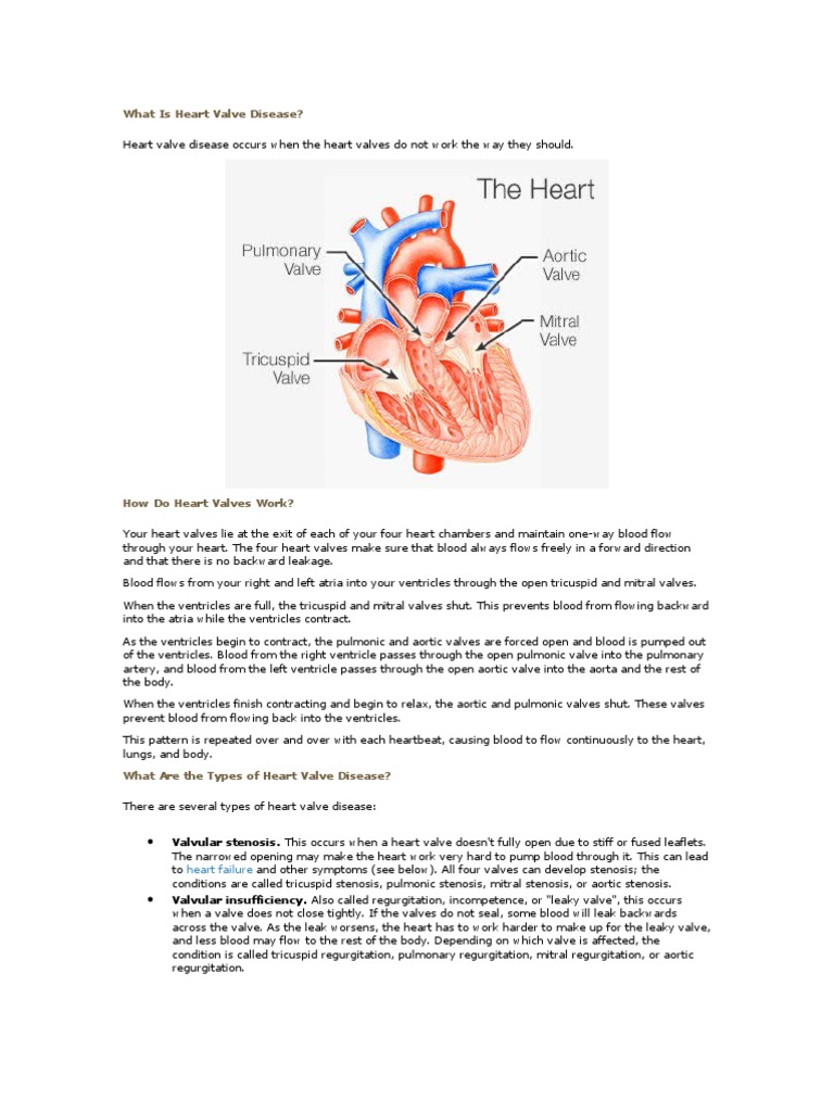 Understanding Heart Valve Disease | PDF | Heart Valve | Echocardiography